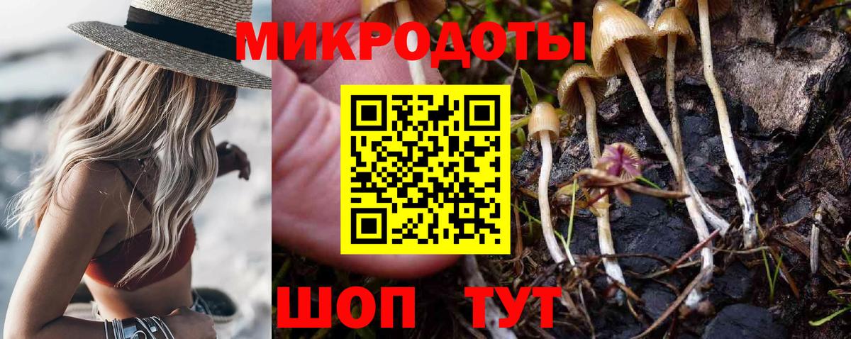 Псилоцибиновые грибы мухоморы Похвистнево